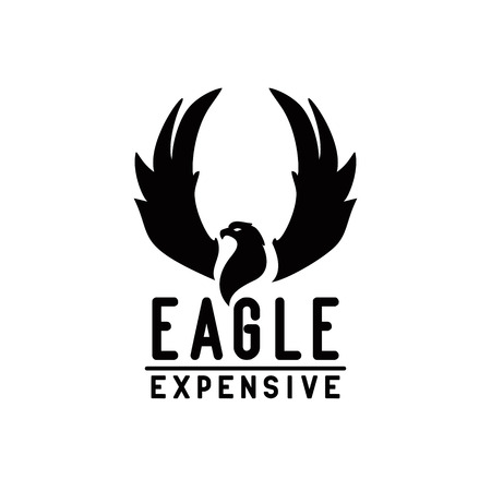 The image of an eagle with raised wingsのイラスト素材