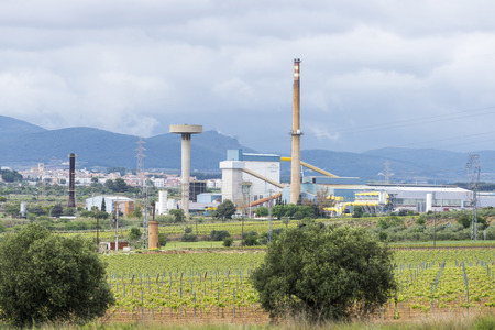 zone vineyards coexisting with an industrial park in Cataloniaのeditorial素材