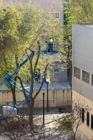 Barcelona, Spain - December 19, 2014: A maintenance worker parks and gardens pruning the branches of a tree with a chain saw to a raised platform in the old town of Barcelonaのeditorial素材