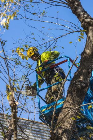 Barcelona, Spain - December 19, 2014: A maintenance worker parks and gardens pruning the branches of a tree with a chain saw to a raised platform in the old town of Barcelonaのeditorial素材