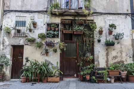 Lots of potted flowers forming a curious corner in a street of the old town of Barcelona, Catalonia, Spainの写真素材