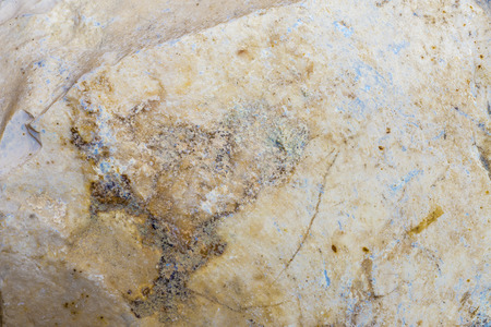 Macro of the surface of a stone creating an abstract backgroundの写真素材