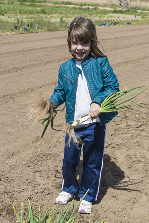 Littler girl shaking onions in a town near Barcelona, Catalonia, Spainの写真素材
