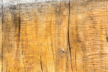 Old wooden plank worn out by weatherの写真素材