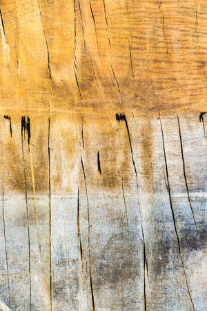 Old wooden plank worn out by weatherの写真素材