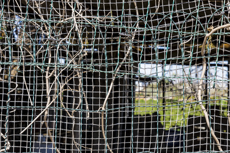 Plastic fence in an abandoned cabinの写真素材