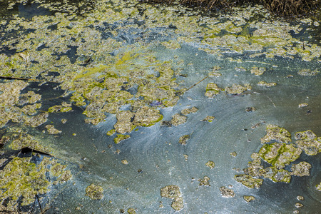 River polluted and stagnant waterの写真素材