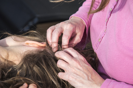Mother looking for head lice at her little daughter to sunlightの写真素材