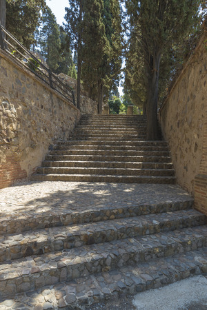 Old stone staircase surrounded by cypressesの写真素材