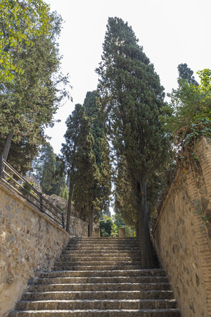 Old stone staircase surrounded by cypressesの写真素材