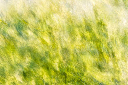 Abstract nature background of a river in motionの写真素材