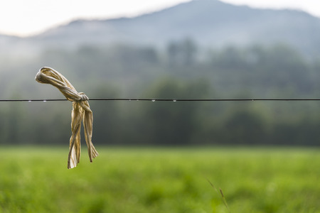 Raindrops sliding down a wire in the mountainsの写真素材