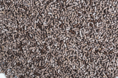 Macro texture of chocolate sprinklesの写真素材