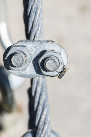 Close up of a fly on a tensor fixed to the groundの写真素材