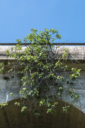 Concrete bridge near Montanejos, Spainの写真素材