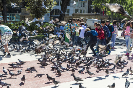 Barcelona, Spain - May 4, 2016: School children playing to scare away pigeons in Placa Catalunyaのeditorial素材