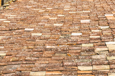 Ceramic tiled roof with textured moss as backgroundの写真素材