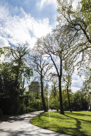 Public park full of trees in Dusseldorf, Germanyの写真素材
