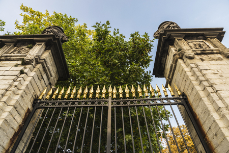 Classic black metal fence with golden tips as background in Brussels, Belgiumの写真素材