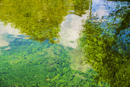Deflected reflections of leaves of trees on the water of a river as abstract background の写真素材