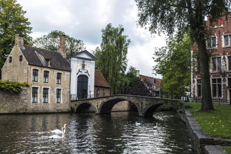Convent of Sancta Elisabeth Sauve Garde along the river with white swans swimming in the medieval city of Bruges, Belgiumの写真素材