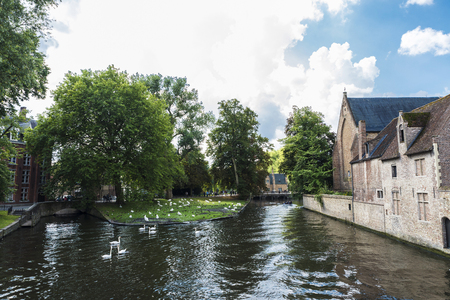 Convent of Sancta Elisabeth Sauve Garde along the river with white swans swimming in the medieval city of Bruges, Belgiumの写真素材