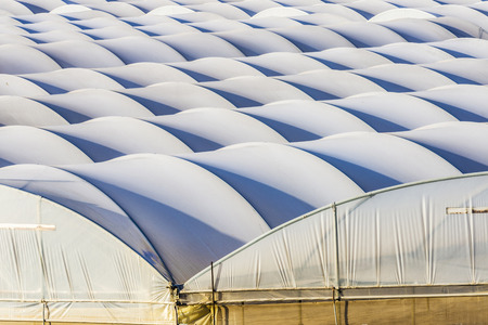 Rows of greenhouses of vegetables in the south of Sicily, Italy