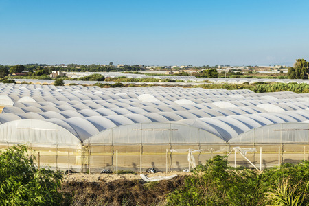 Rows of greenhouses of vegetables in the south of Sicily, Italyの写真素材