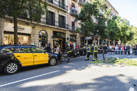 Barcelona, Spain - September 20, 2017: Firemen pulling a fallen tree in middle of the street with people around in Barcelona, Catalonia, Spainのeditorial素材
