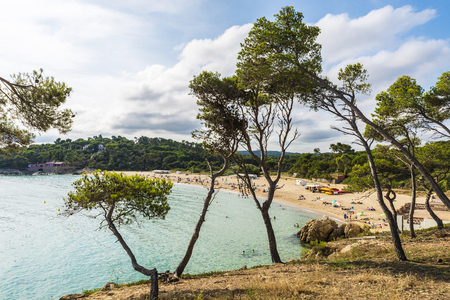 View of Castell beach with people bathing in Palamos, Costa Brava, Girona, Catalonia, Spainの写真素材