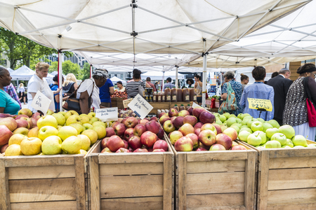 New York City, USA - July 26, 2018: Farmers Market at Brooklyn Borough Hall Greenmarket in downtown Brooklyn with people choosing fruit and vegetables in Manhattan in New York City, USAのeditorial素材