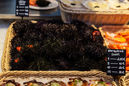 Heap of Paracentrotus lividus or purple sea urchin in a gourmet fish shop in Bolhao Market, street...