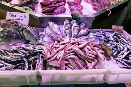 Fresh fish, wild sea bream, grayling, sardine and red mullet in a fish shop in Les Halles Market, street food market in Narbonne, Occitanie, Franceの写真素材