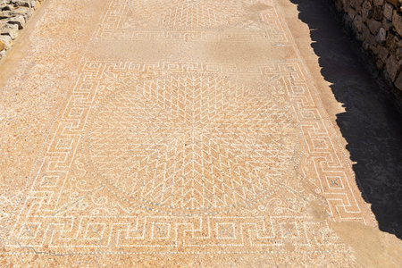 Mosaic in the domus of the Ruines d Empuries, Roman and Greek ruins located on the Costa Brava, Girona, Catalonia, Spainの写真素材