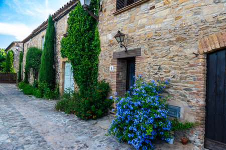 Narrow street with typical houses of the rustic village of Peratallada, Girona, Catalonia, Spainの写真素材