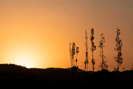 landscape in reddish and orange silhouette of a sunset on the mountain, with trees in the foreground.の写真素材