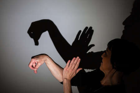 shadow play projected on a white screen. creates a form of swan or duck with the hands.の写真素材