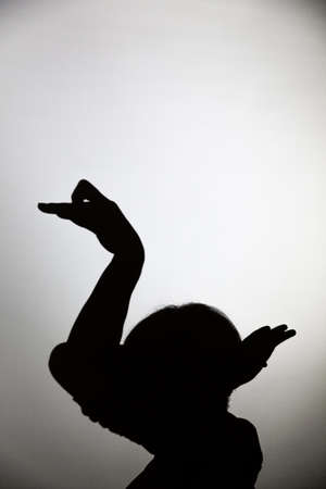 shadow play projected on a white screen. creates a form of swan or duck with the hands.の写真素材