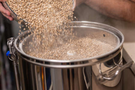 man pours barley and wheat malt into kettle to make beerの写真素材