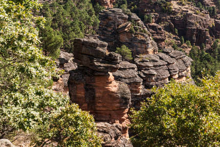 views of rocky mountains with forest in autumn on a sunny day with cloud coverの写真素材