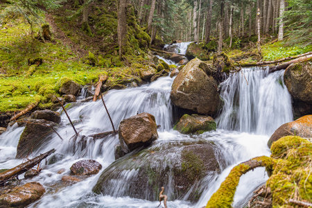 Spring landscapes, sown and cyurcumpolarの写真素材