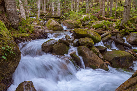 Spring landscapes, sown and cyurcumpolarの写真素材