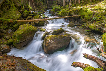 Spring landscapes, sown and cyurcumpolarの写真素材