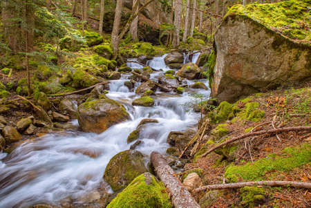 Spring landscapes, sown and cyurcumpolarの写真素材