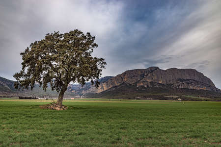 Paisatge de l 'Alt Urgell to the province of Lleida.の写真素材