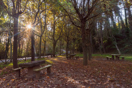 Autumn landscape in the park of the mother of the fountain in Solsonaの写真素材