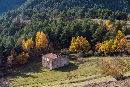 Autumn landscape in Boscalt, Alt Urgell region, below the CadÃ­ mountain rangeの写真素材