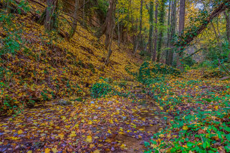 An autumn walk through the sources of Peramola in the Lleida region of alt urgell.の写真素材