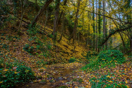 An autumn walk through the sources of Peramola in the Lleida region of alt urgell.の写真素材