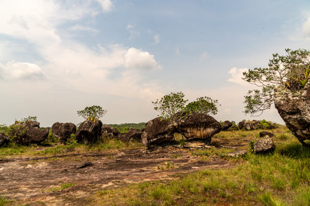 Rocky area of natural caves in the Colombian Amazon, rock and treesの写真素材